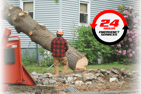 Tree trimer sizing up a fallen tree (upper right) 24 HOUR EMERGENCY SERVICES