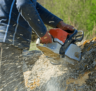 A worker using a chainsaw on a large fallen tree